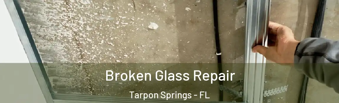 Broken Glass Repair Tarpon Springs - FL