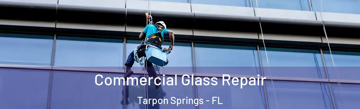 Commercial Glass Repair Tarpon Springs - FL