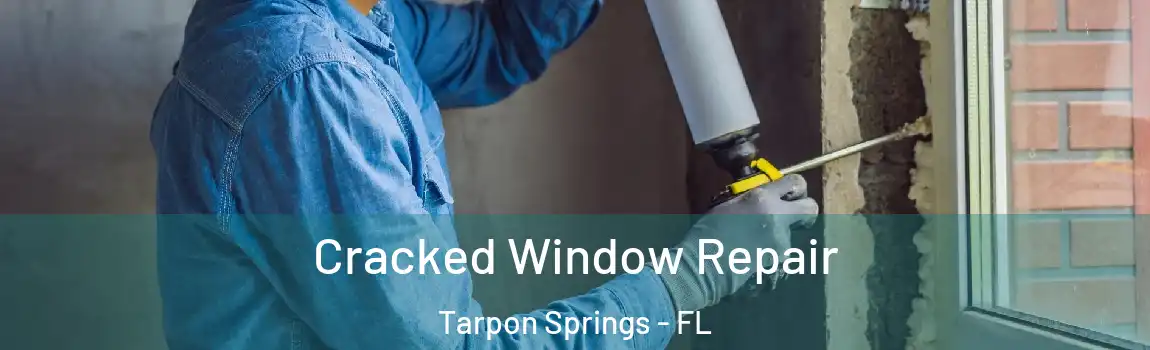  Cracked Window Repair Tarpon Springs - FL
