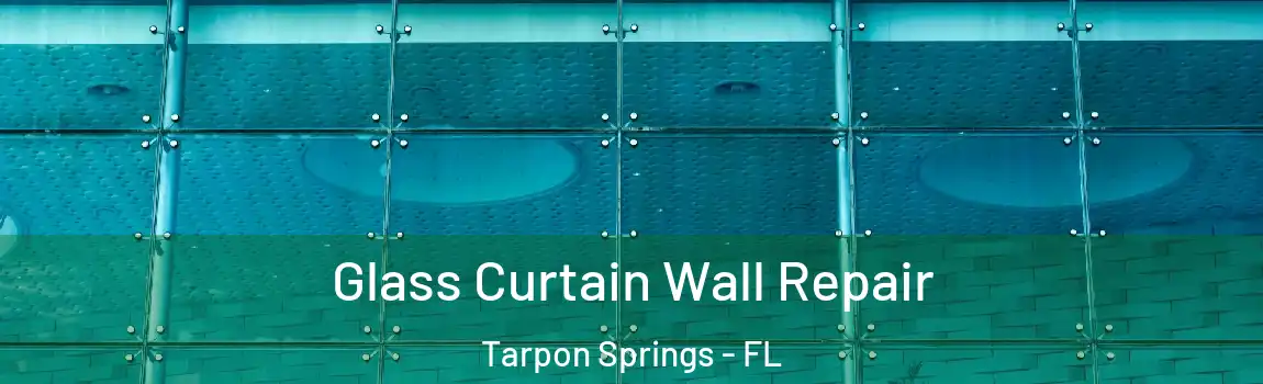 Glass Curtain Wall Repair Tarpon Springs - FL