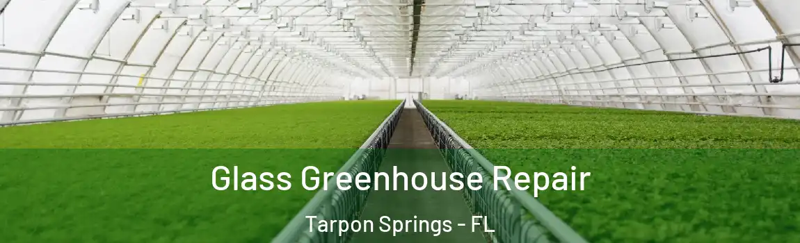  Glass Greenhouse Repair Tarpon Springs - FL