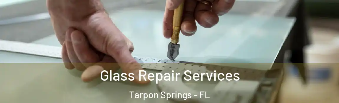 Glass Repair Services Tarpon Springs - FL