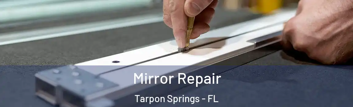  Mirror Repair Tarpon Springs - FL