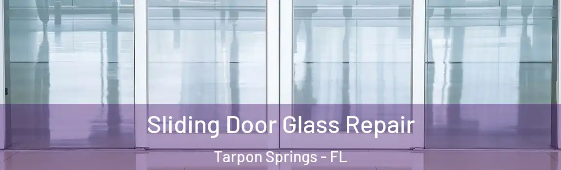 Sliding Door Glass Repair Tarpon Springs - FL