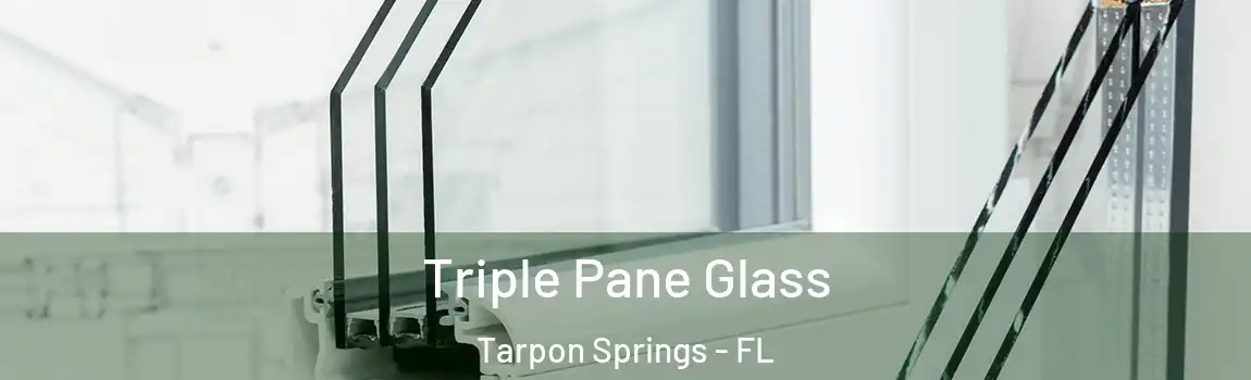  Triple Pane Glass Tarpon Springs - FL
