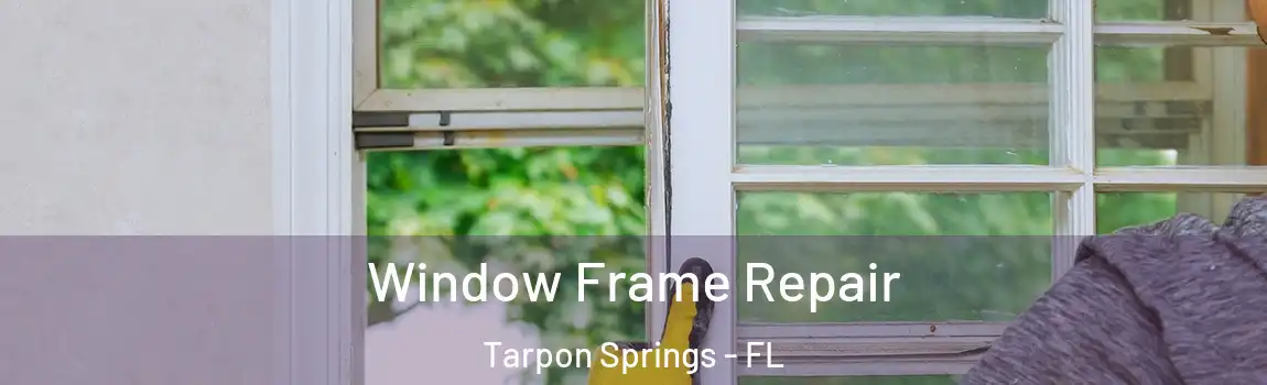  Window Frame Repair Tarpon Springs - FL