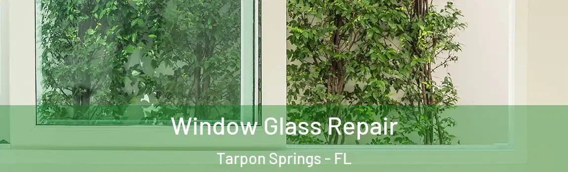  Window Glass Repair Tarpon Springs - FL